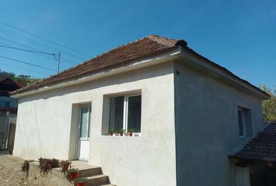 Casă cu 2 camere cu Teren 800 Mp în Vințu de Jos - 4
