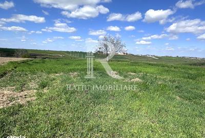 Teren de 2033 mp, în Tămășeu - 3