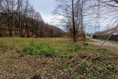 Resita, Teren Drept Intravilan, Langa Prau si Drum, 1308 Mp., 15 Euro Mp., Renk - 2