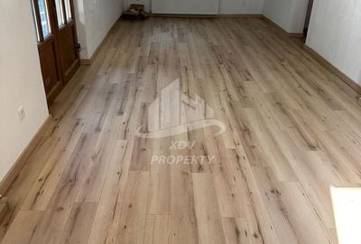 Pensiune/ Vila Valea Avrigului - 10