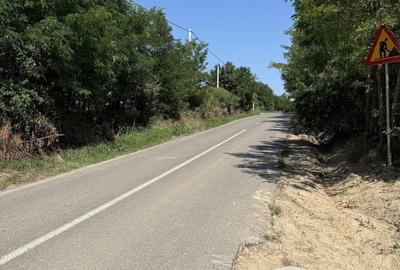 Teren de 15000 mp, în Aroneanu - 5