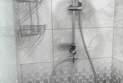 Apartament o camera Sagului - 4