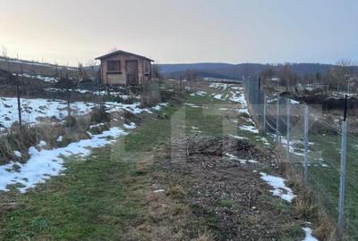 Teren 1400 mp Viitor Intravilan, Zona Drumul Tarpiului - - 2