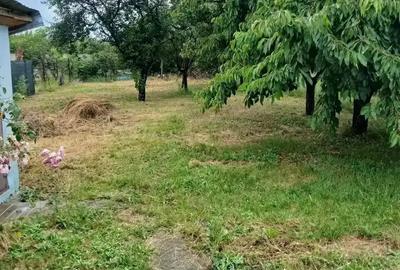 Casă cu 3 camere în Ghighiu - 9