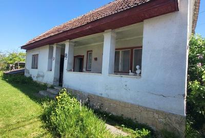 Casă cu 2 camere cu Teren 1100 Mp în Teiu - 5