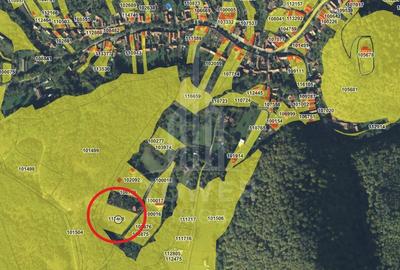 Teren intravilan 4600mp - 55 EUR/mp - EXCLUSIVITATE CISNADIOARA - COMISION 0% - 2