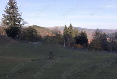 Teren de 13700 mp, în Nereju - 3