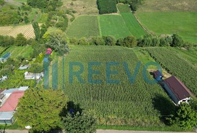 Teren intravilan de vanzare, Sat Bogdan?ti, Com. Traian - 14