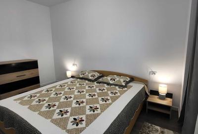 Apartament cu 2 camere decomandat, mobilat în Noua - 3