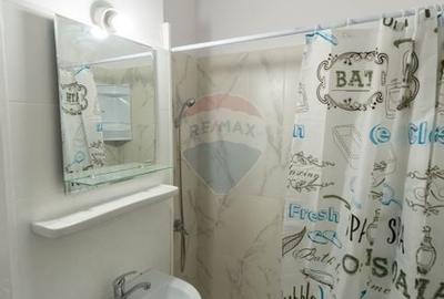 Apartament decomandat cu 2 camere de inchiriat - Camil Ressu Apartament decomandat cu 2 camere de inchiriat - Camil Ressu - 17