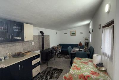 Casă cu 6 camere cu Teren 5600 Mp în Golești - 1