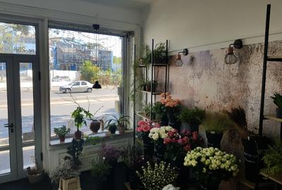 TINERETULUI-SINCAI,SPATIU COMERCIAL 80 MP,VAD,STRADAL.800 EURO - 7