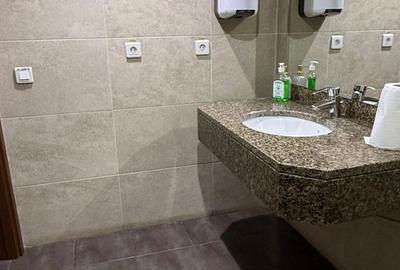 Spațiu comercial, de 320 mp, în Herăstrău - 3
