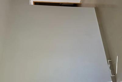 Spa?iu comercial - 3