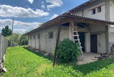 Casă cu 4 camere cu Teren 850 Mp în Dealuri Oradea - 3