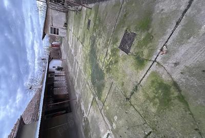 Casa de vanzare Teremia Mare - 3