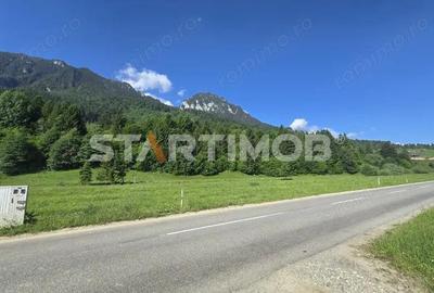 Teren intravilan Zarnesti Plaiul Foii - 9