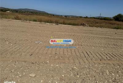 Teren de 2960 mp, în Lipănești - 5