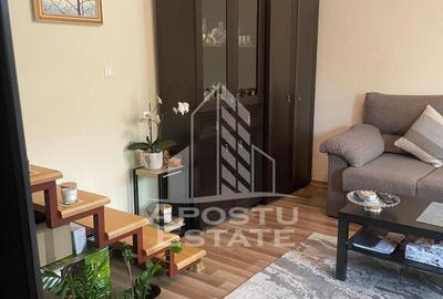 Casa individula cu 4 camere, zona Cetatii - 10