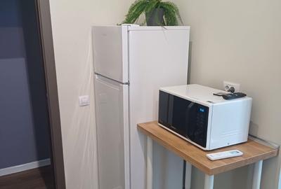 Garsonieră decomandată în Copou - 5