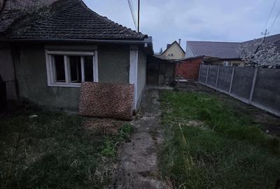 Casă cu Teren 270 Mp în Mehala - 6