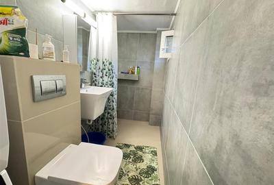 Casa individuala cu 4 camere in Terezian - 13