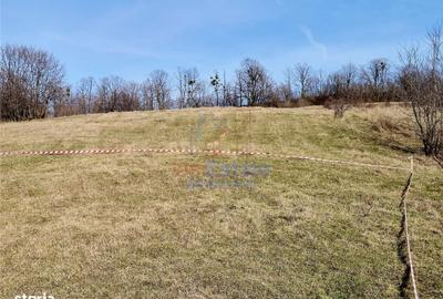 Spațiu comercial, în Vlădiceni - 5