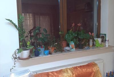Apartament cu 3 camere decomandat în Central - 4
