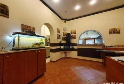 Casă cu Teren 350 Mp în Cișmigiu - 11