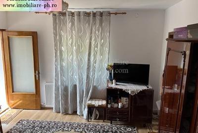 Tihuana Imobiliare:casa de vanzare-Buna Vestire - 11