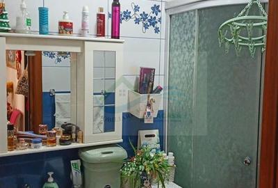 Garsonieră în Paltin - 20