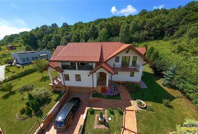 Casă cu 9 camere cu Teren 1750 Mp în Pestișu Mic - 20