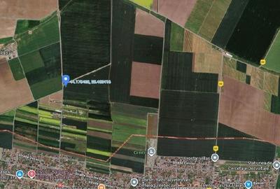 Teren de 5000 mp, în Valu lui Traian - 10