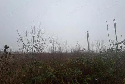 Teren de 17700 mp, în Freidorf - 3