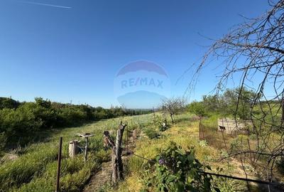 Casa de vanzare Almaj , sat Bogea  4505 mp teren- Negociabil - 16