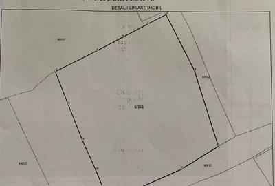 Spațiu comercial, în Central