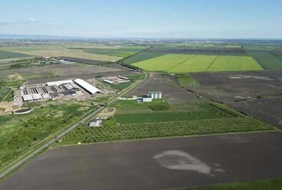 Livada de nuci ?i pruni 2.4ha in Varia?ul Mare - 4