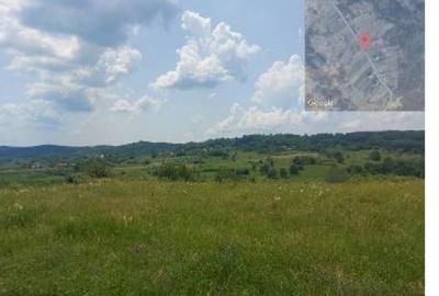 Teren extravilan- loc Bustuchin, Jud Gorj