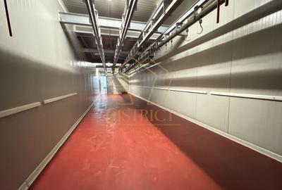 Spațiu industrial, de 1,350 mp, în Dumbrăvița - 4