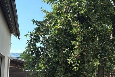 Casă cu 1 camere cu Teren 300 Mp în Central - 3