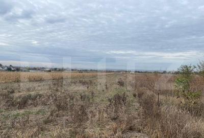 Teren extravilan de 2539 mp in Dudovicesti - 2