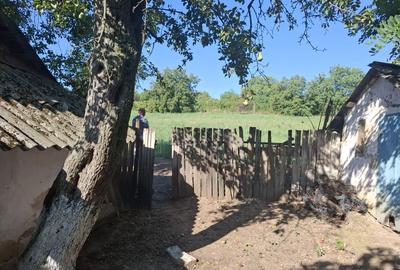 Casă cu 3 camere în Central - 6