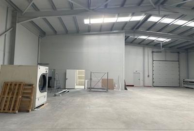 Spatiu depozitare si productie Soseaua de centrua Chitila - 5