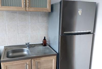 Inchiriere apartament 2 camere Doamna Ghica Plaza - 14