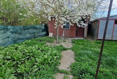 Casă cu Teren 950 Mp în Central - 10