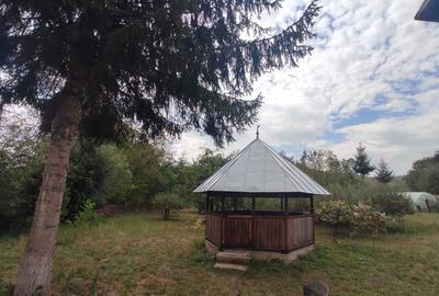 Casă cu 4 camere în Provița de Sus - 1