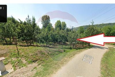 Teren de 1736 mp, în Bogați - 2