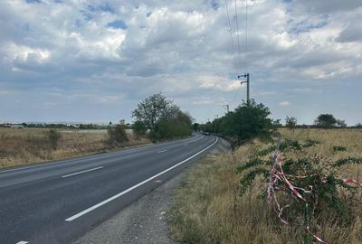(308) Teren in zona industriala Albota, langa Pitesti / Direct proprietar
