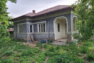 Casă cu Teren 1800 Mp în Radovanu