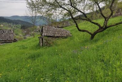 Spațiu comercial, în Potoci - 2